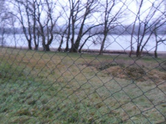 1ha pozemok pri Dunaji,skladové priestory Okres Komárno VK-PN-142