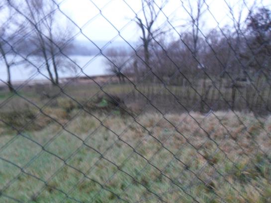 1ha pozemok pri Dunaji,skladové priestory Okres Komárno VK-PN-142