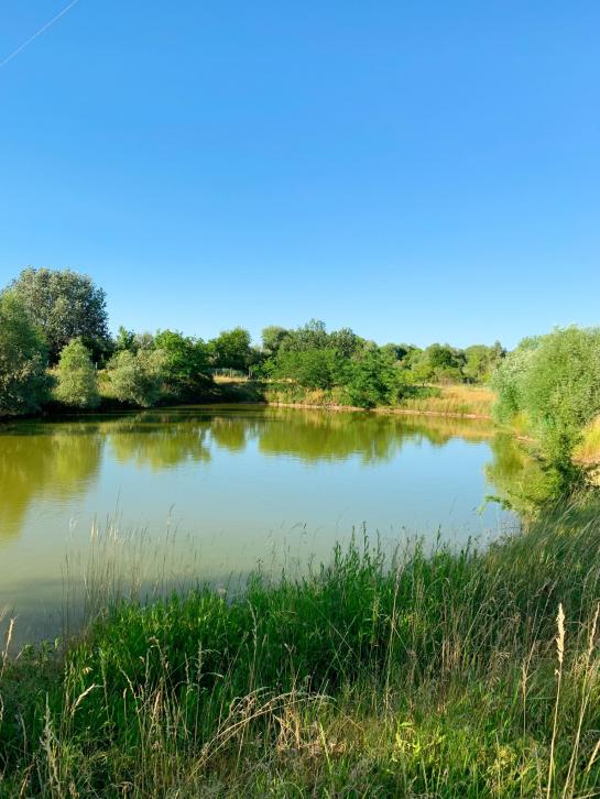 Štúrovo-Nána pozemok na predaj s rybníkom Okres Nové Zámky NCS-PN-865