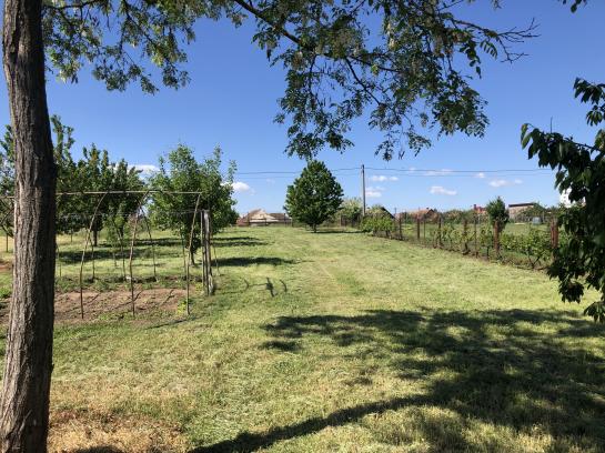 Na predaj rodinný dom s dvoma bytovými jednotkami a garážou County Komárno LR-PN-1440