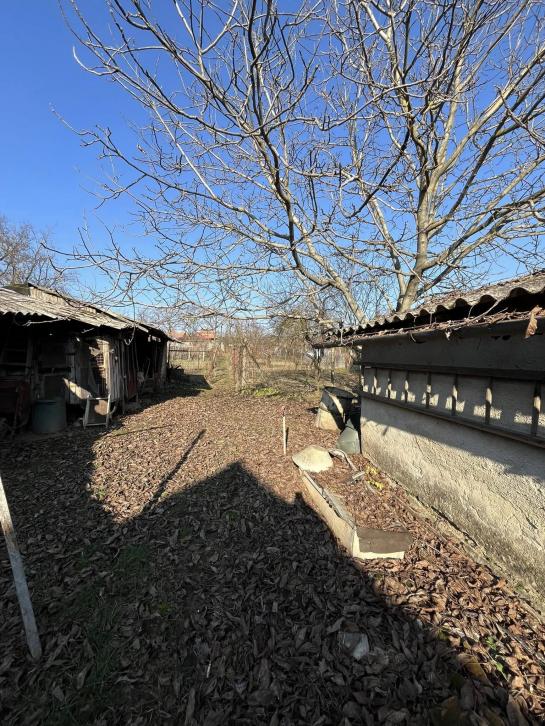 Na predaj rodinný dom v obci Belá, len 11 km od Štúrova! Bezirk Nové Zámky NCS-PN-1552