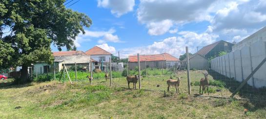 Vidiecky dom na PREDAJ - Chotín, okr. Komárno  Okres Komárno ksk-PN-1523