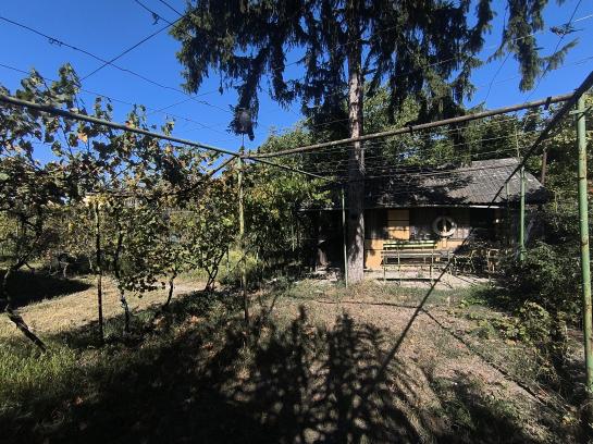 Záhrada na PREDAJ - KOMÁRNO  Okres Komárno ksk-PN-1526